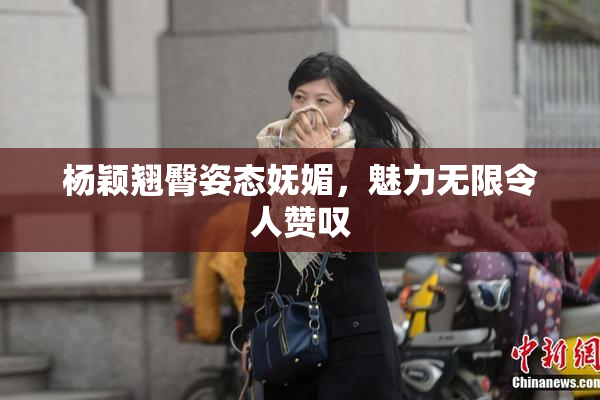 杨颖翘臀姿态妩媚，魅力无限令人赞叹