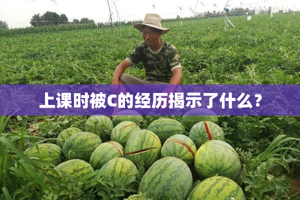上课时被C的经历揭示了什么？