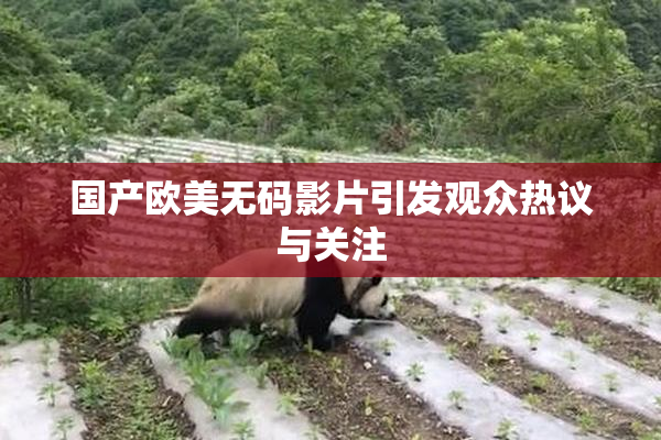 国产欧美无码影片引发观众热议与关注