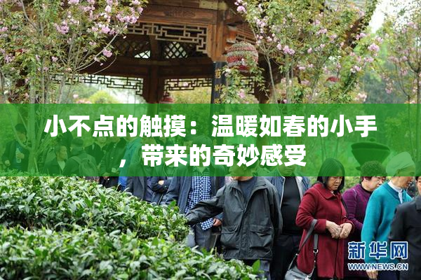 小不点的触摸：温暖如春的小手，带来的奇妙感受