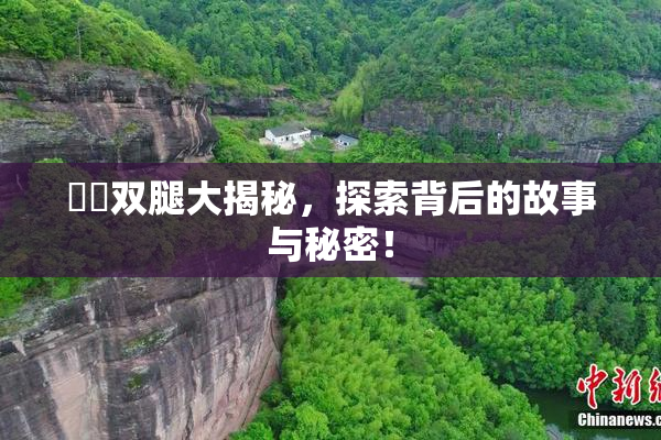妺妺双腿大揭秘，探索背后的故事与秘密！
