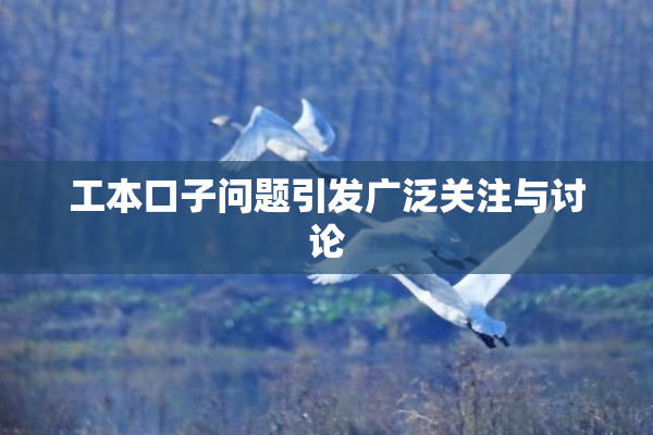 工本口子问题引发广泛关注与讨论