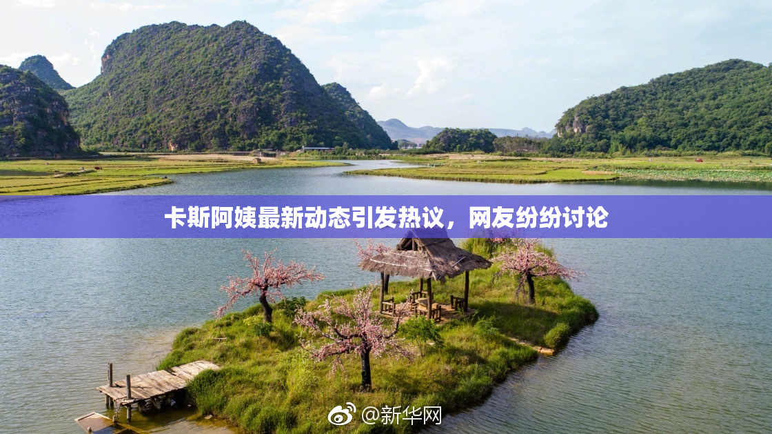 卡斯阿姨最新动态引发热议，网友纷纷讨论