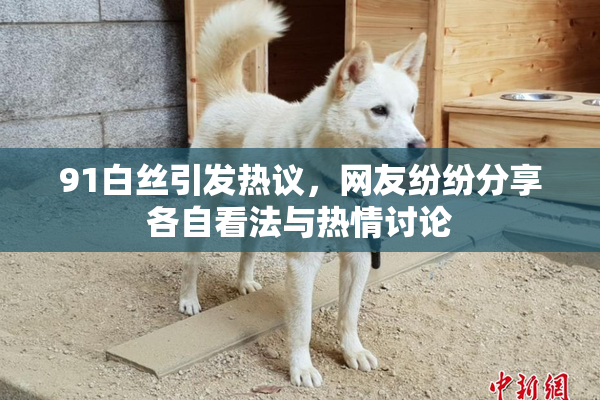 91白丝引发热议，网友纷纷分享各自看法与热情讨论