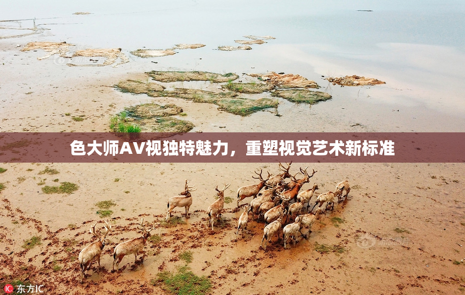 色大师AV视独特魅力，重塑视觉艺术新标准