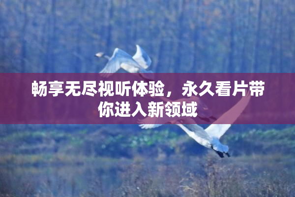 畅享无尽视听体验，永久看片带你进入新领域