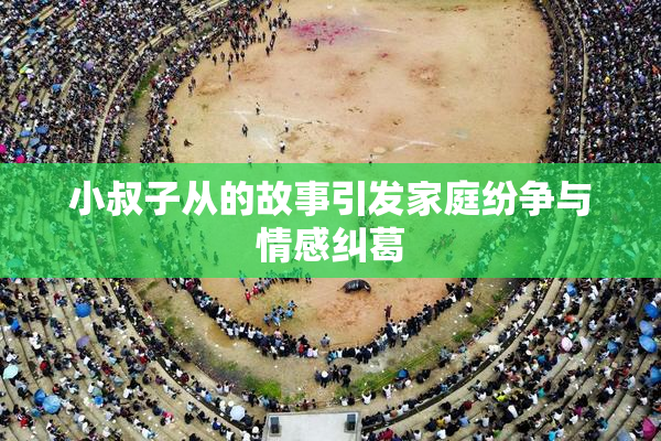小叔子从的故事引发家庭纷争与情感纠葛
