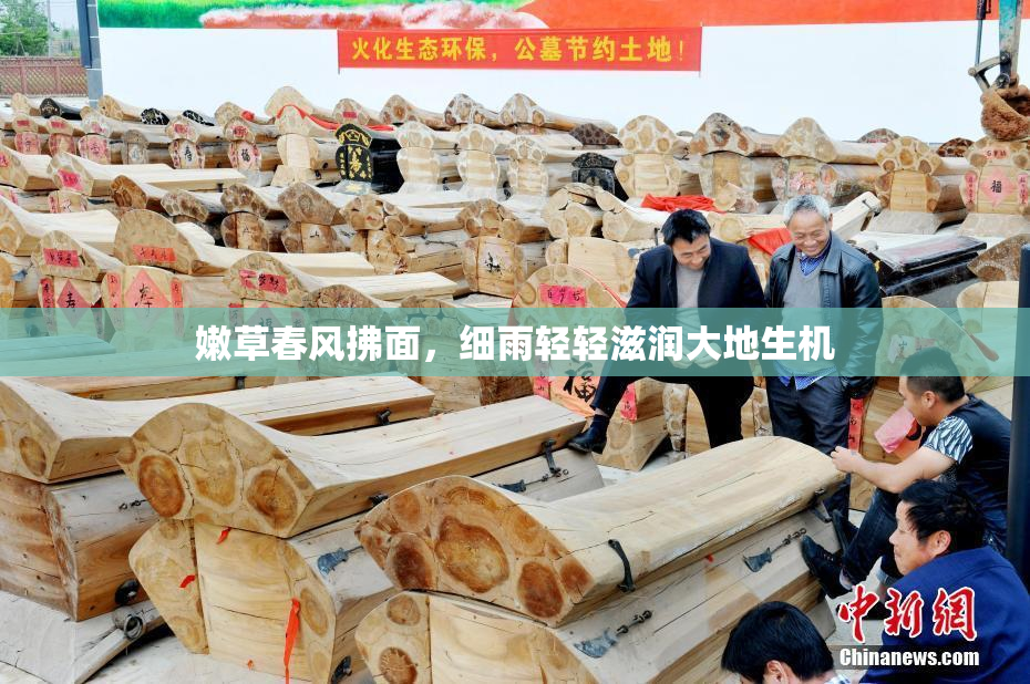 嫩草春风拂面，细雨轻轻滋润大地生机