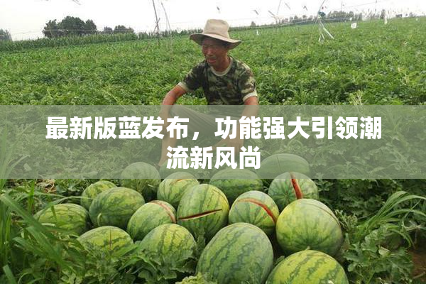 最新版蓝发布，功能强大引领潮流新风尚