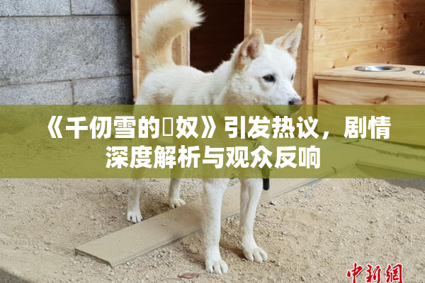 《千仞雪的婬奴》引发热议，剧情深度解析与观众反响