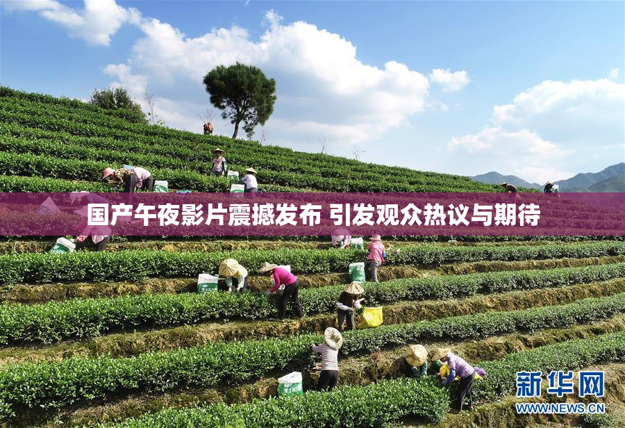 国产午夜影片震撼发布 引发观众热议与期待