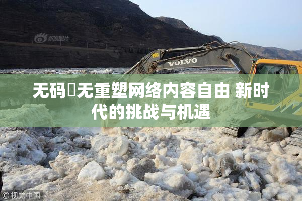 无码囯无重塑网络内容自由 新时代的挑战与机遇