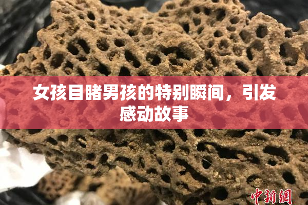 女孩目睹男孩的特别瞬间，引发感动故事