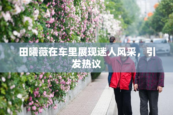 田曦薇在车里展现迷人风采，引发热议
