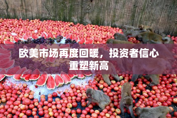 欧美市场再度回暖，投资者信心重塑新高
