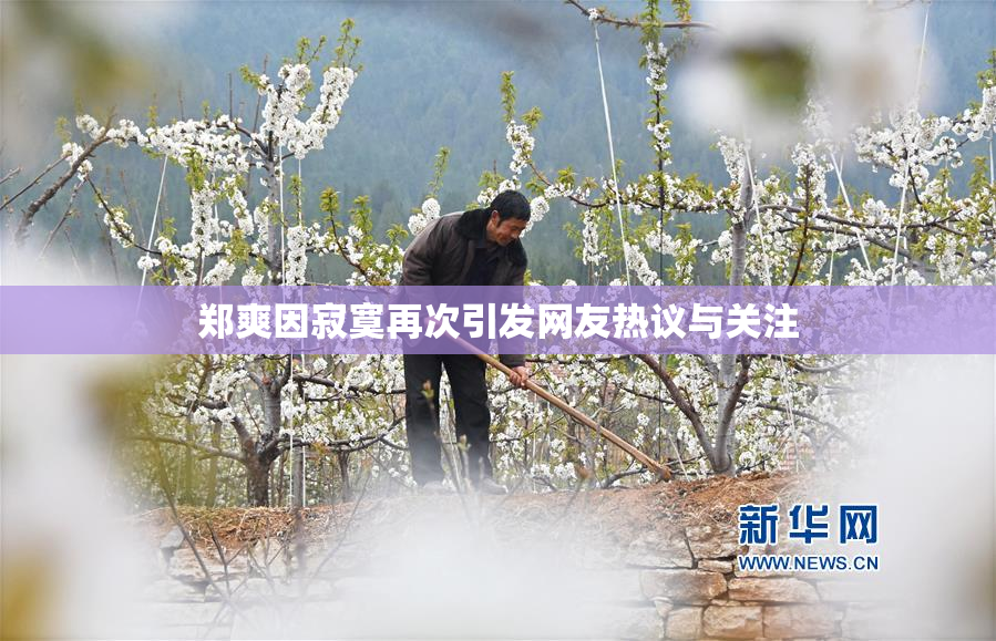 郑爽因寂寞再次引发网友热议与关注