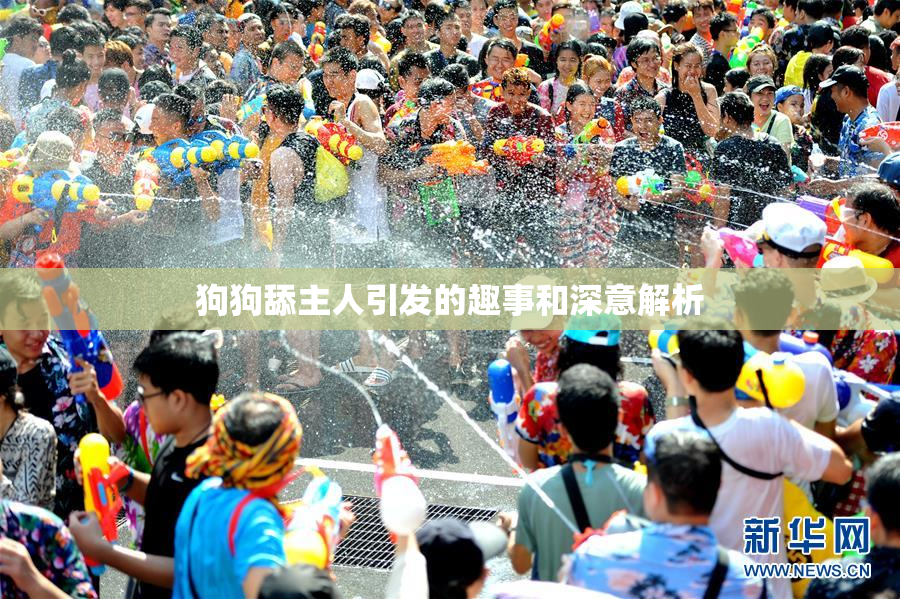 狗狗舔主人引发的趣事和深意解析