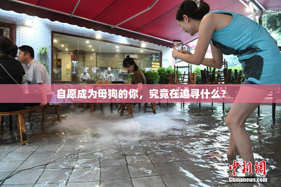 自愿成为母狗的你，究竟在追寻什么？