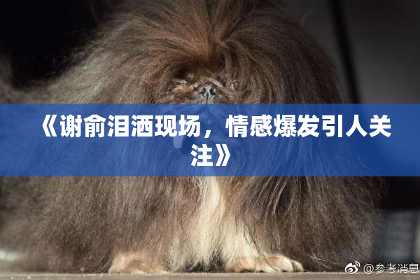 《谢俞泪洒现场，情感爆发引人关注》