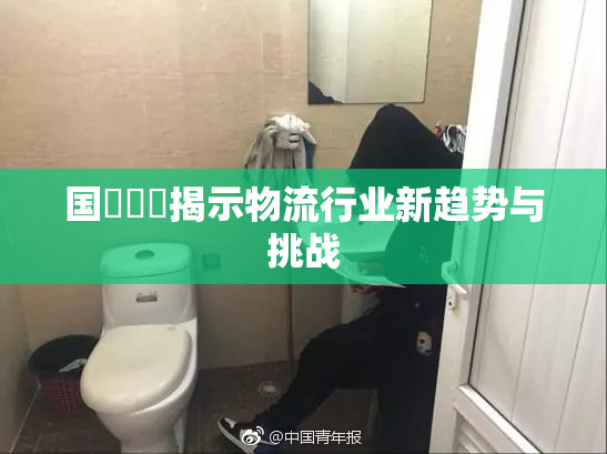 国產梱綁揭示物流行业新趋势与挑战