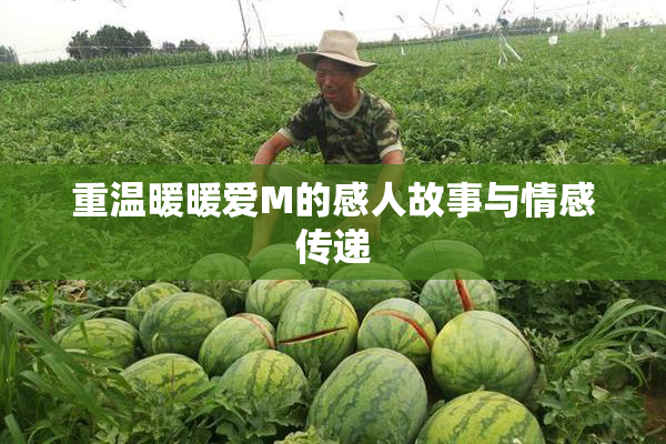 重温暖暖爱M的感人故事与情感传递