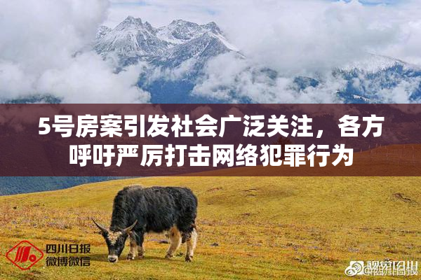 5号房案引发社会广泛关注，各方呼吁严厉打击网络犯罪行为