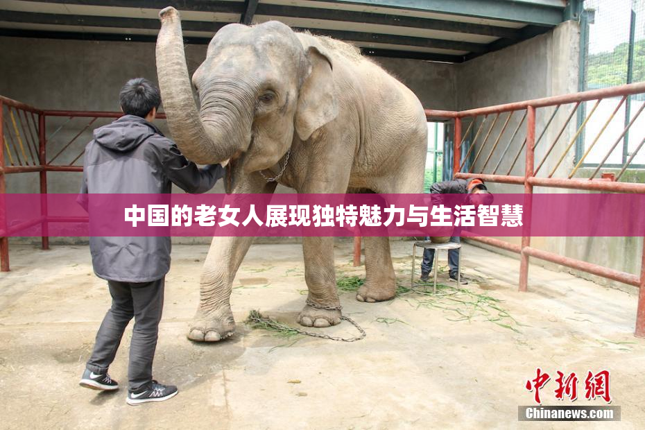 中国的老女人展现独特魅力与生活智慧