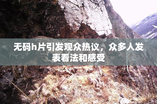 无码h片引发观众热议，众多人发表看法和感受