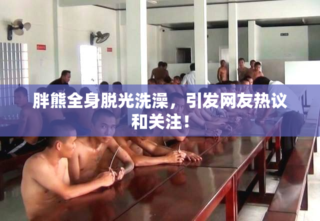 胖熊全身脱光洗澡，引发网友热议和关注！