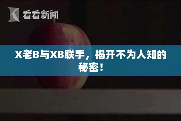 X老B与XB联手，揭开不为人知的秘密！