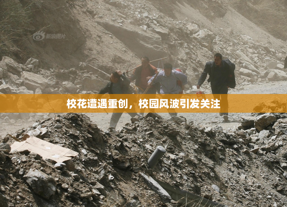 校花遭遇重创，校园风波引发关注