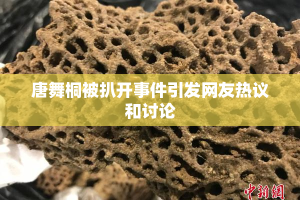 唐舞桐被扒开事件引发网友热议和讨论