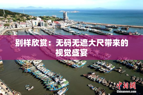 别样欣赏：无码无遮大尺带来的视觉盛宴