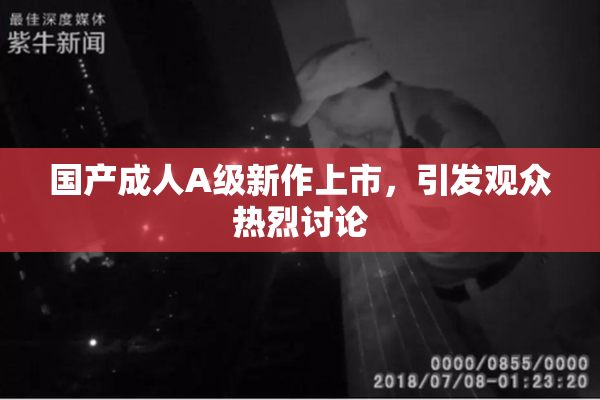 国产成人A级新作上市，引发观众热烈讨论