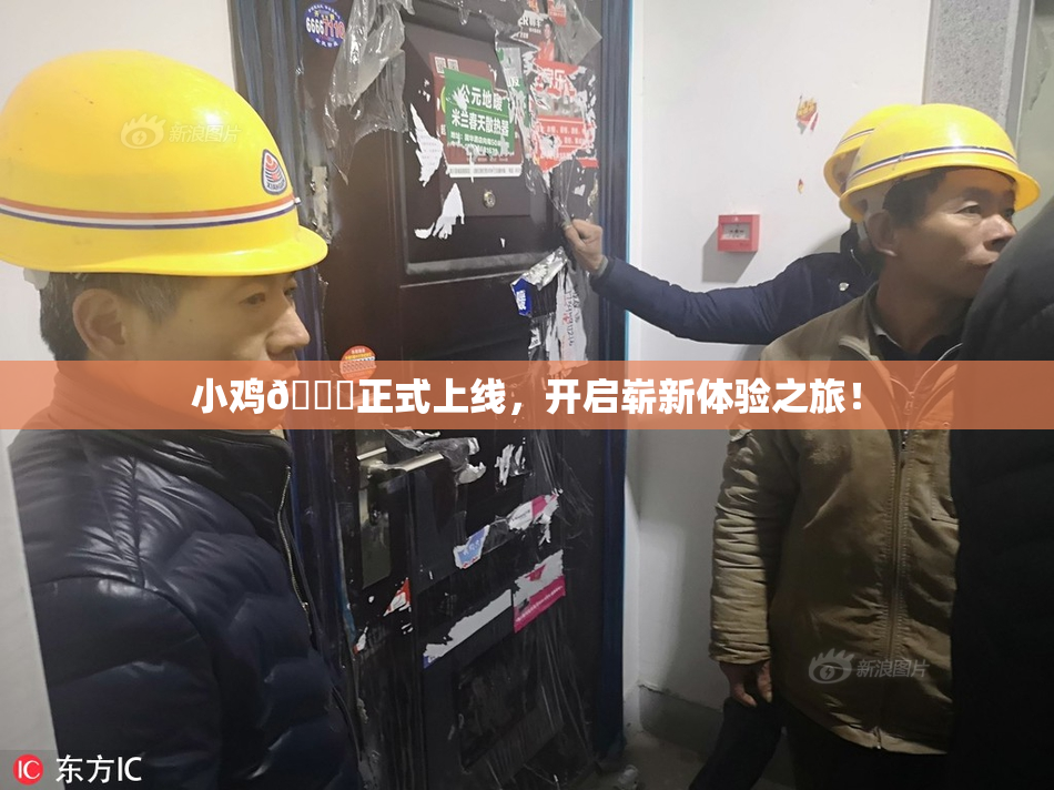 小鸡🐔正式上线，开启崭新体验之旅！