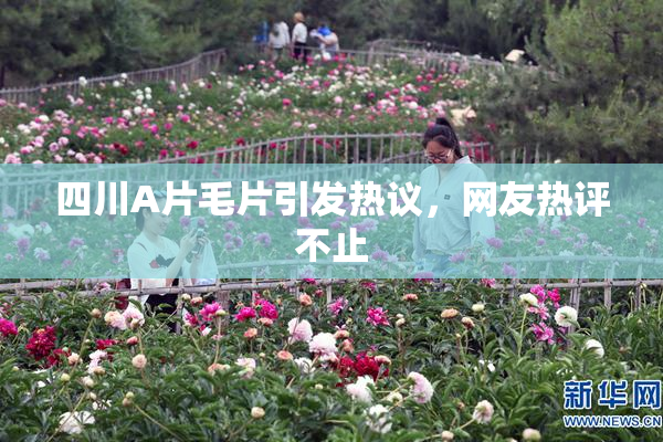 四川A片毛片引发热议，网友热评不止