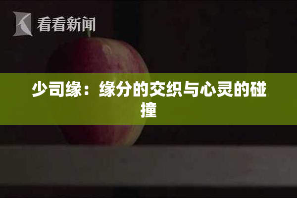 少司缘：缘分的交织与心灵的碰撞