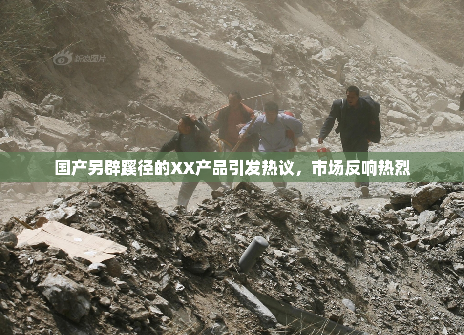 国产另辟蹊径的XX产品引发热议，市场反响热烈
