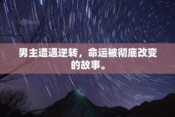 男主遭遇逆转，命运被彻底改变的故事。