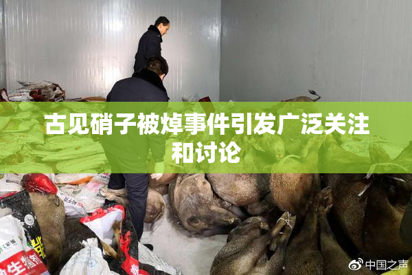 古见硝子被焯事件引发广泛关注和讨论