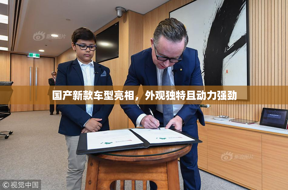 国产新款车型亮相，外观独特且动力强劲