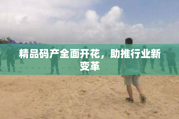 精品码产全面开花，助推行业新变革