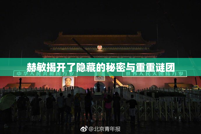 赫敏揭开了隐藏的秘密与重重谜团