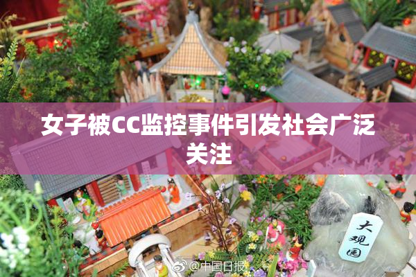 女子被CC监控事件引发社会广泛关注