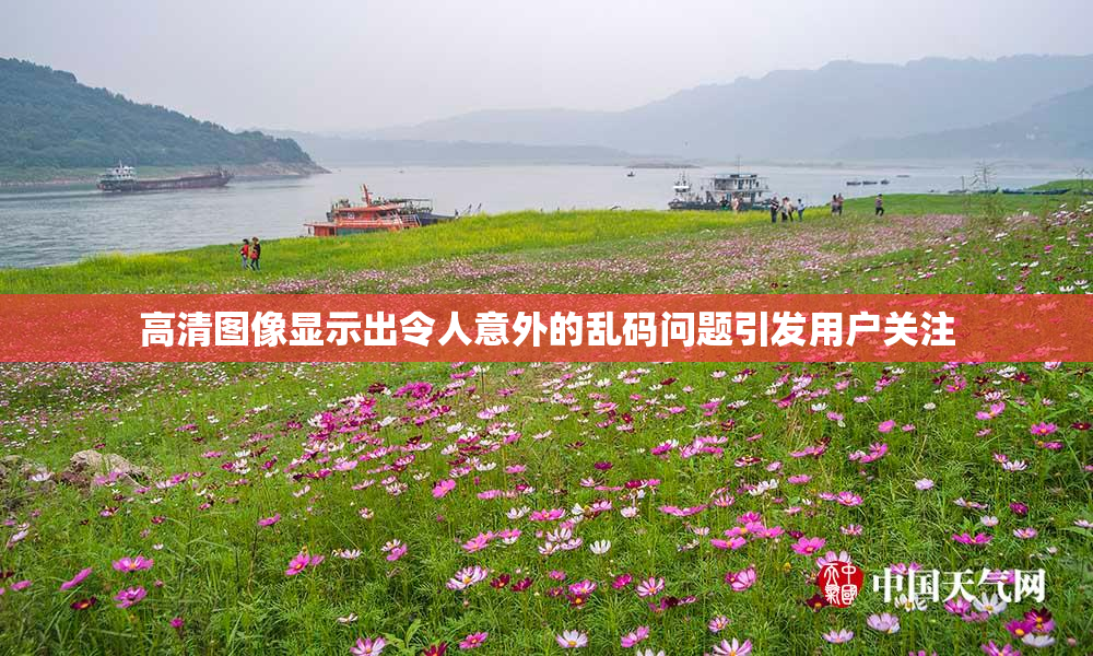高清图像显示出令人意外的乱码问题引发用户关注