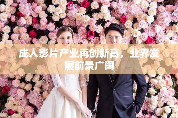 成人影片产业再创新高，业界发展前景广阔