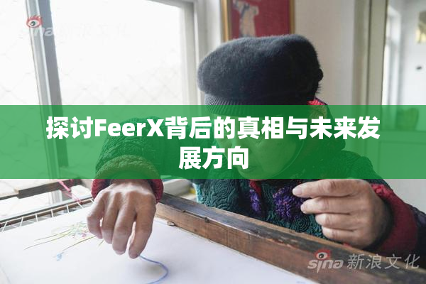 探讨FeerX背后的真相与未来发展方向
