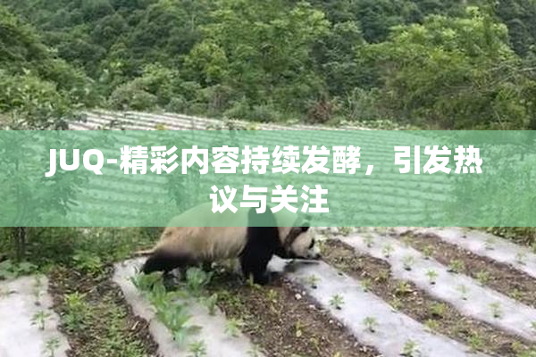 JUQ-精彩内容持续发酵，引发热议与关注