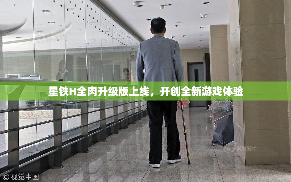 星铁H全肉升级版上线，开创全新游戏体验