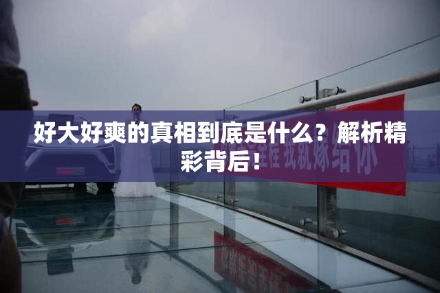 好大好爽的真相到底是什么？解析精彩背后！